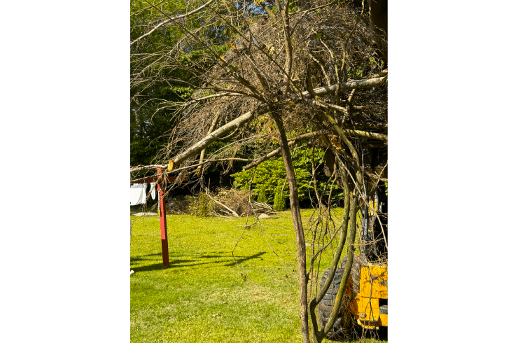 RDP Land Services 