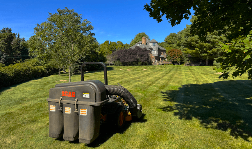 Lawn Mowing