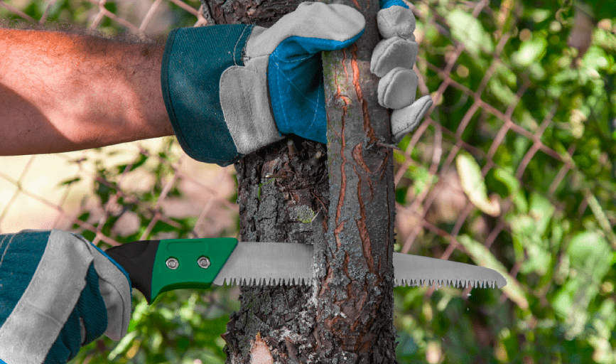 Tree Trimming